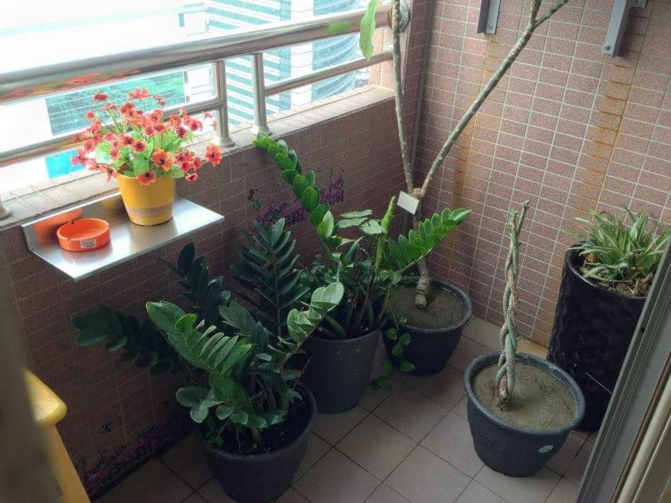 Jia Jia House Appartement Kaohsiung Buitenkant foto